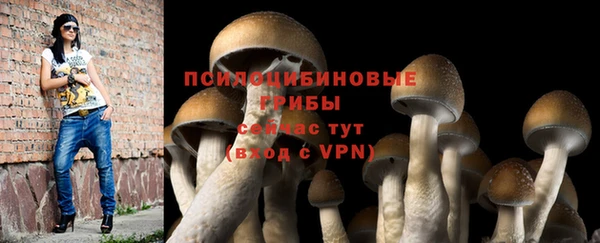 spice Баксан