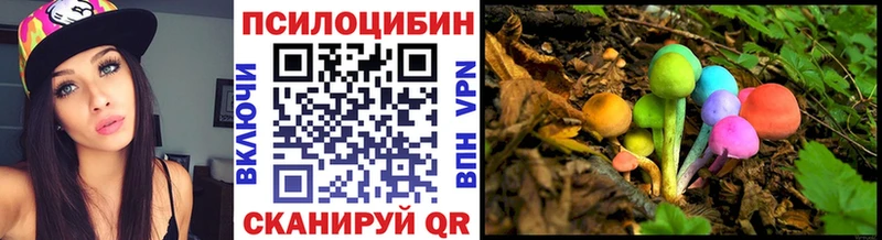 Галлюциногенные грибы Psilocybe  закладка  Нурлат 